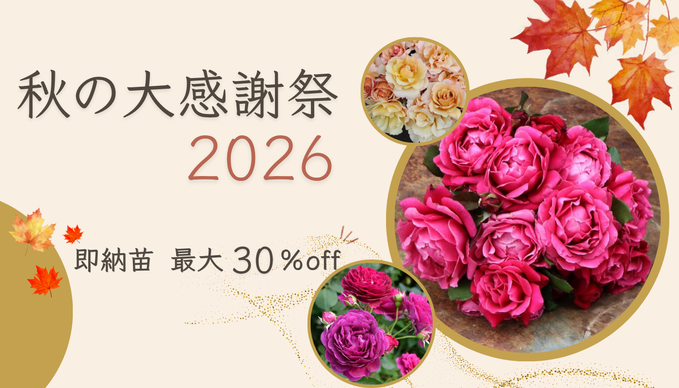 秋の大感謝祭2026
